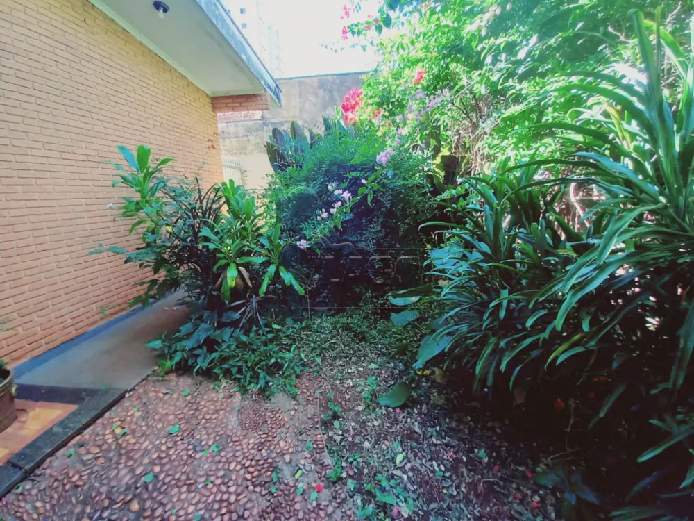 Comprar Casa / Padr&atilde;o em Ribeir&atilde;o Preto R$ 800.000,00 - Foto 33