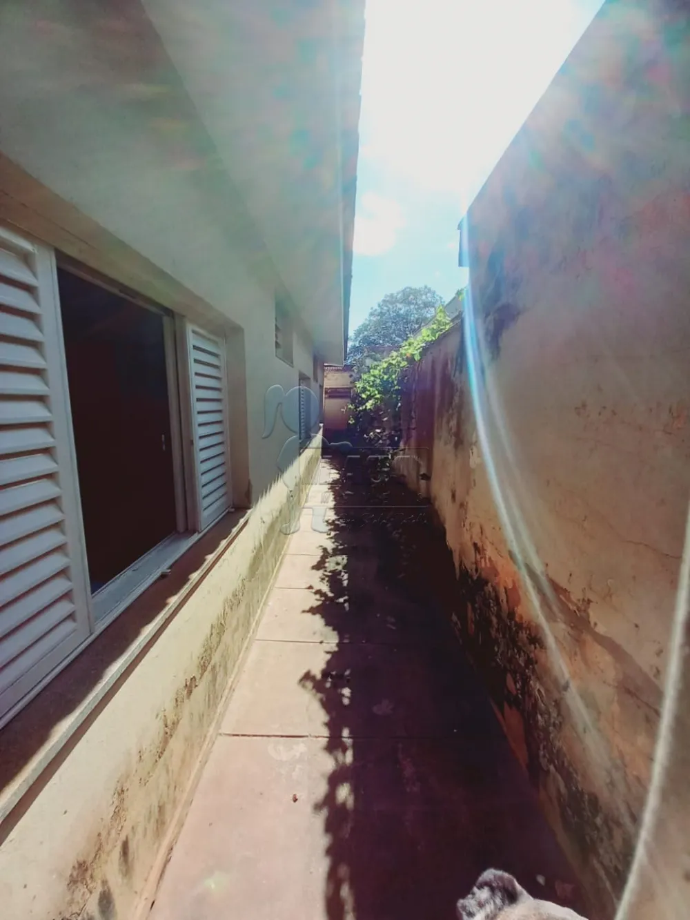 Comprar Casa / Padr&atilde;o em Ribeir&atilde;o Preto R$ 800.000,00 - Foto 16