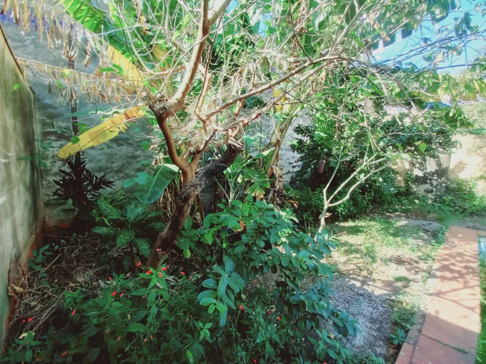 Comprar Casa / Padr&atilde;o em Ribeir&atilde;o Preto R$ 800.000,00 - Foto 31