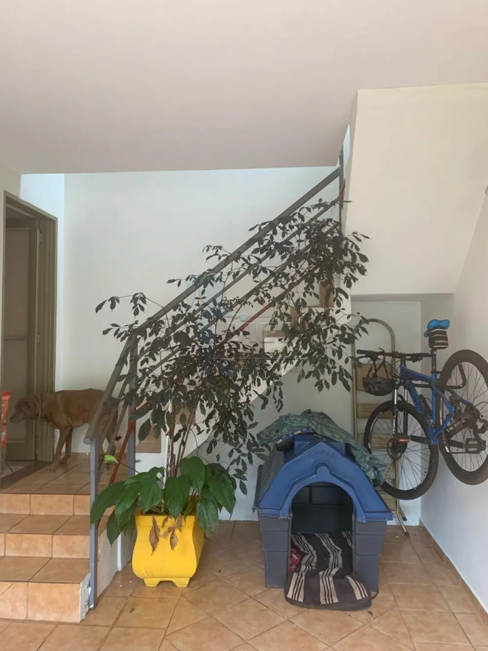 Comprar Casa / Padr&atilde;o em Ribeir&atilde;o Preto R$ 500.000,00 - Foto 34