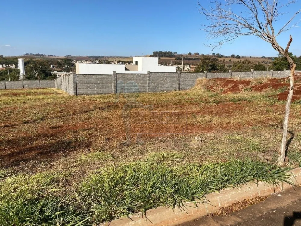 Comprar Terreno / Padr&atilde;o em Ribeir&atilde;o Preto R$ 175.000,00 - Foto 2