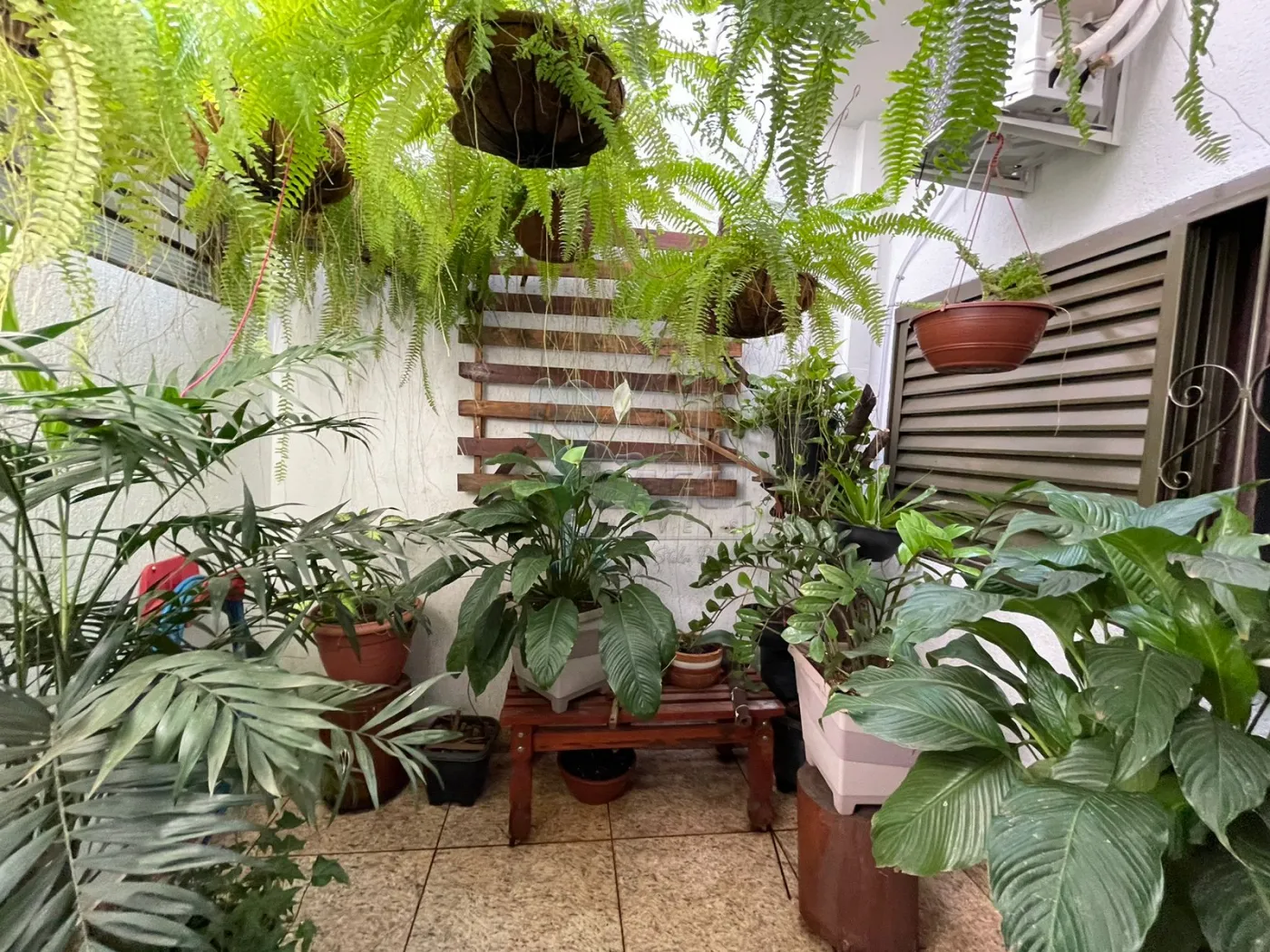 Comprar Casa / Padr&atilde;o em Ribeir&atilde;o Preto R$ 550.000,00 - Foto 25