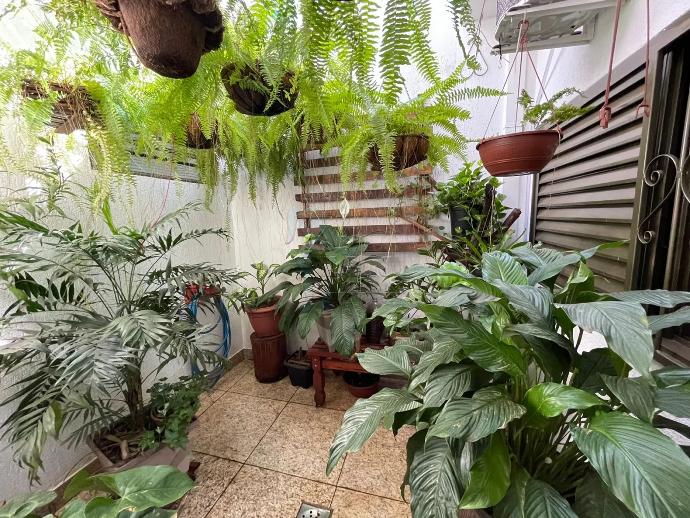 Comprar Casa / Padr&atilde;o em Ribeir&atilde;o Preto R$ 550.000,00 - Foto 26