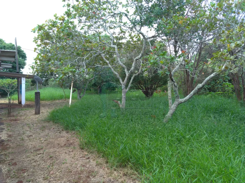 Comprar Casa / Ch&aacute;cara - Rancho em Patroc&iacute;nio Paulista R$ 700.000,00 - Foto 1