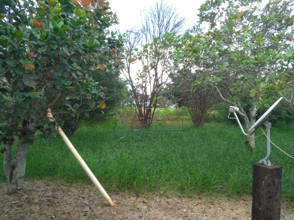 Comprar Casa / Ch&aacute;cara - Rancho em Patroc&iacute;nio Paulista R$ 700.000,00 - Foto 13