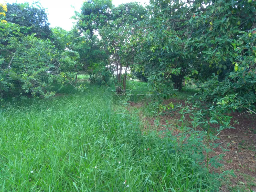 Comprar Casa / Ch&aacute;cara - Rancho em Patroc&iacute;nio Paulista R$ 700.000,00 - Foto 16