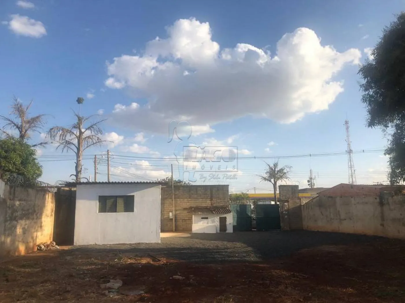 Alugar Comercial padr&atilde;o / Galp&atilde;o - Armaz&eacute;m em Ribeir&atilde;o Preto R$ 12.000,00 - Foto 1