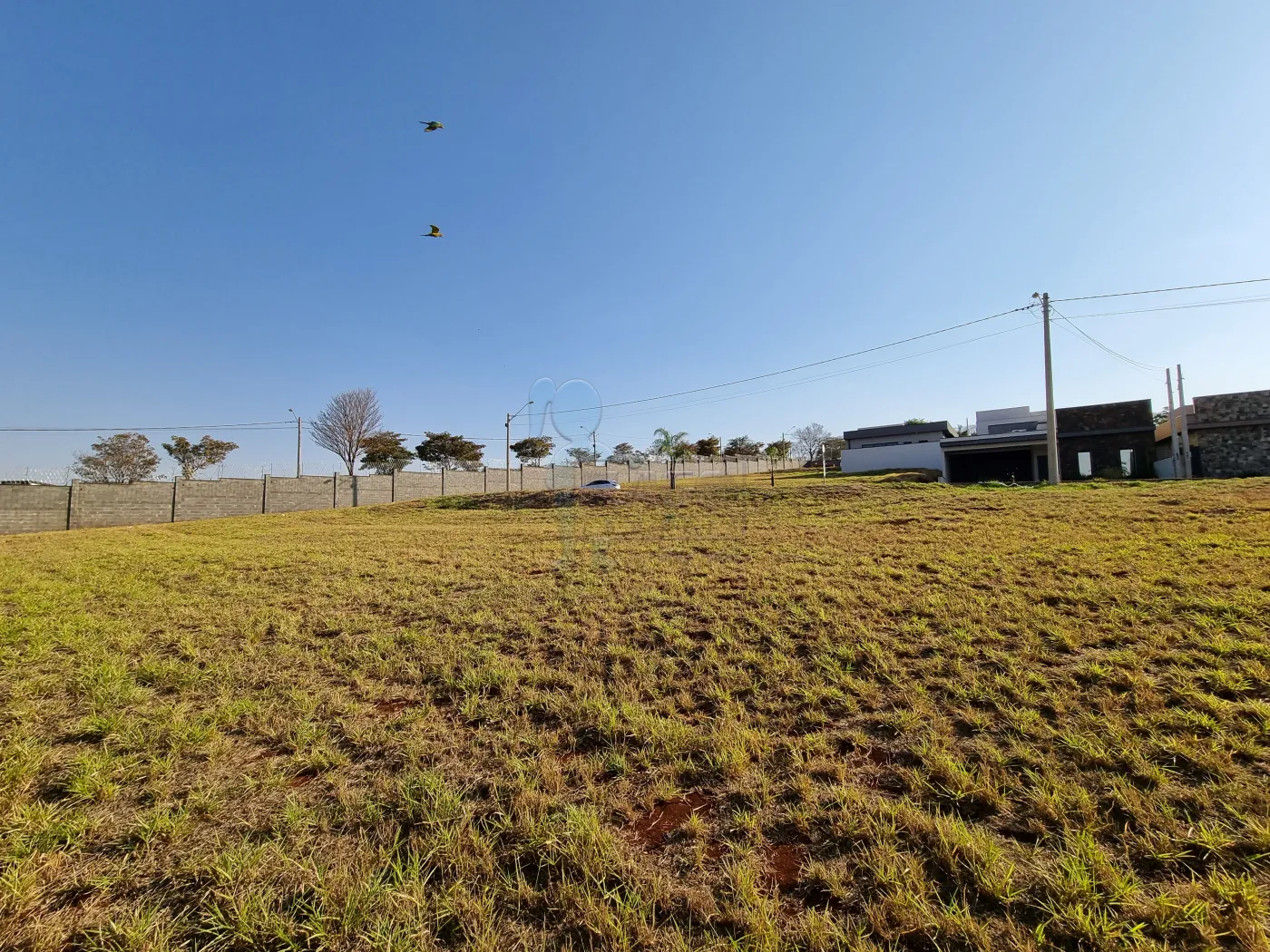 Comprar Terreno / Condom&iacute;nio em Ribeir&atilde;o Preto R$ 250.000,00 - Foto 7