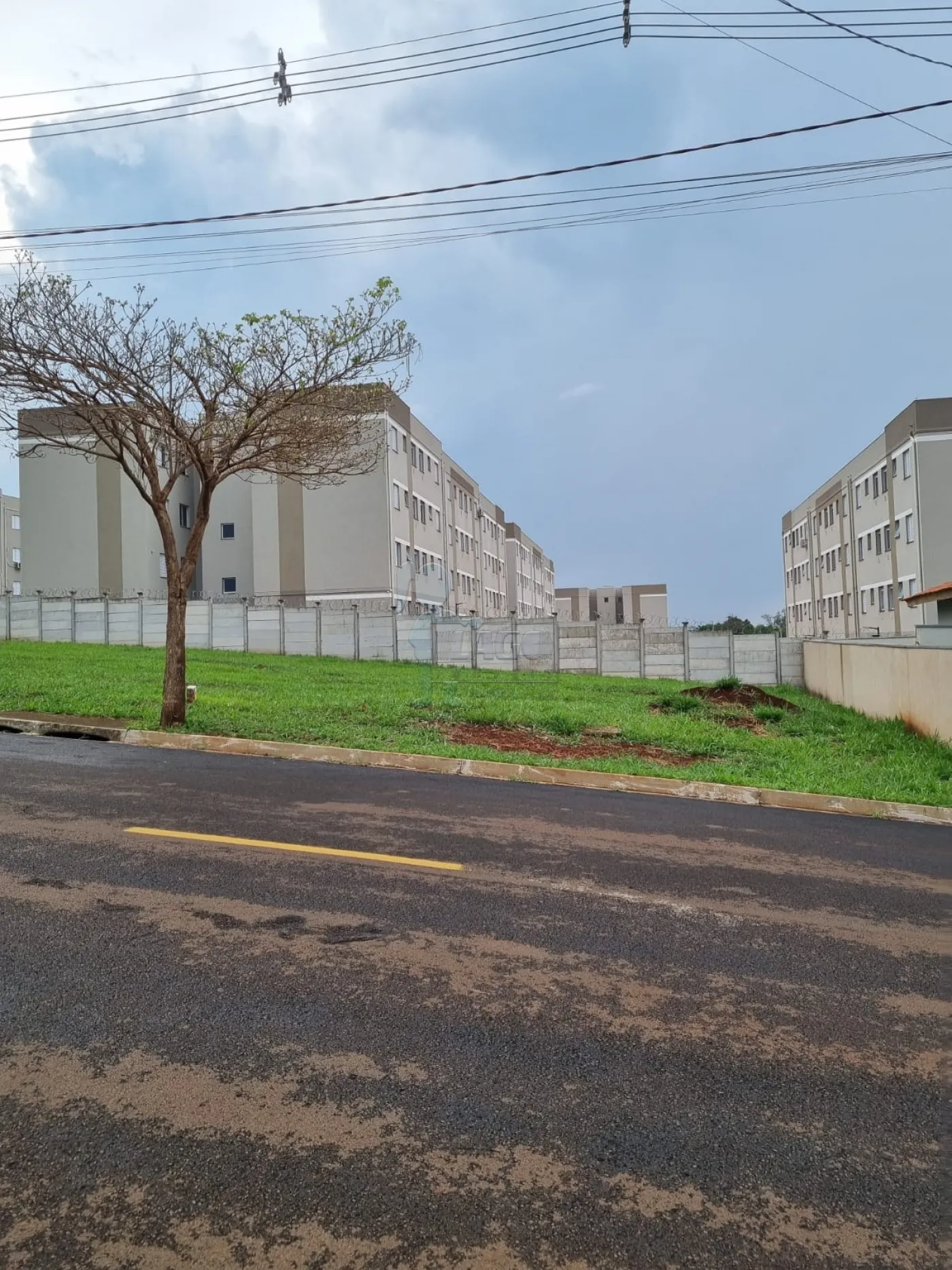 Alugar Terreno / Padr&atilde;o em Bonfim Paulista R$ 1.100,00 - Foto 2