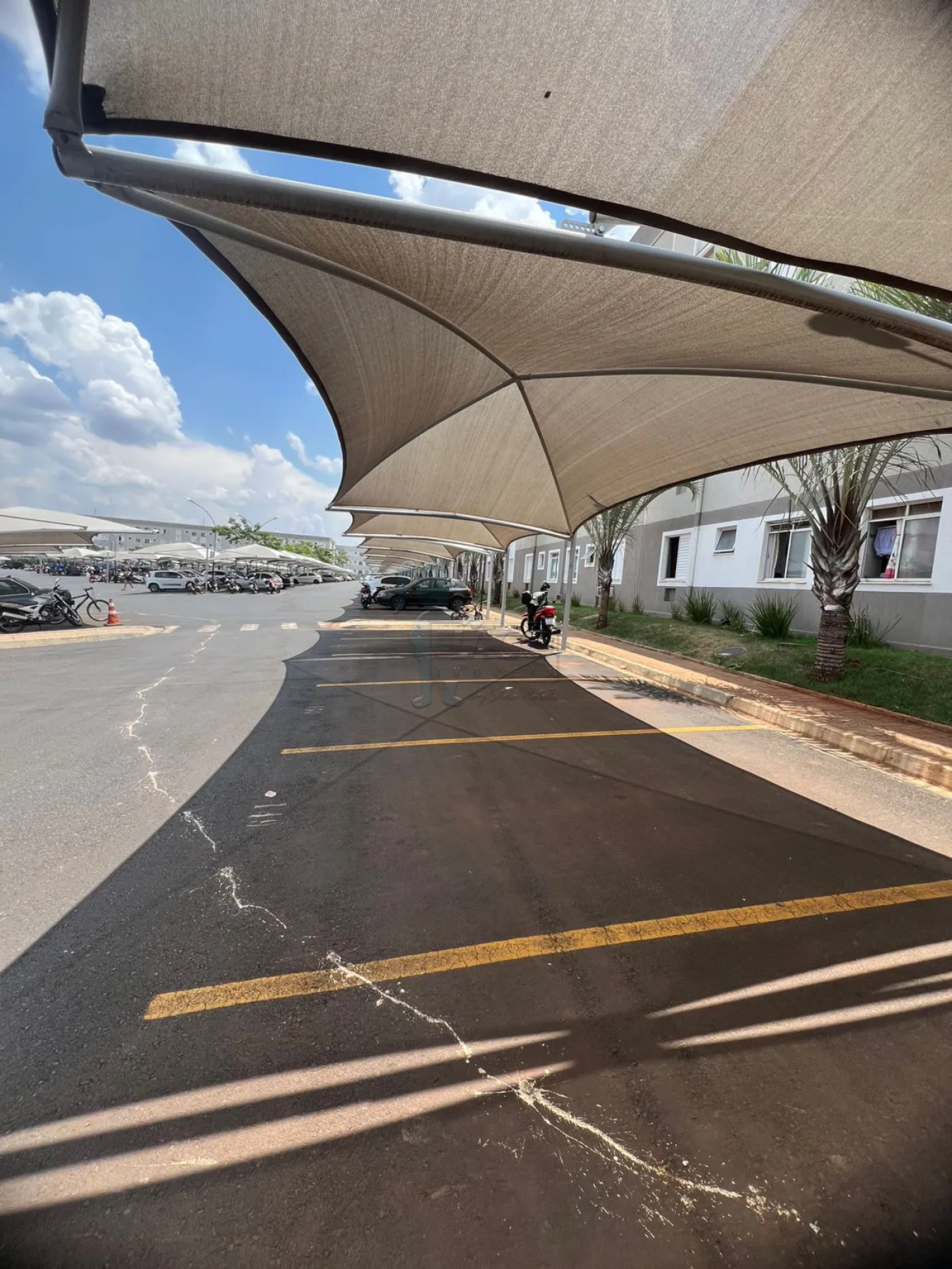 Comprar Apartamento / Padr&atilde;o em Ribeir&atilde;o Preto R$ 160.000,00 - Foto 14