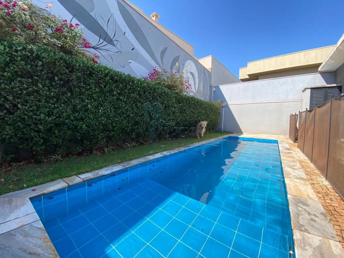 Alugar Casa condom&iacute;nio / Padr&atilde;o em Bonfim Paulista R$ 8.250,00 - Foto 3