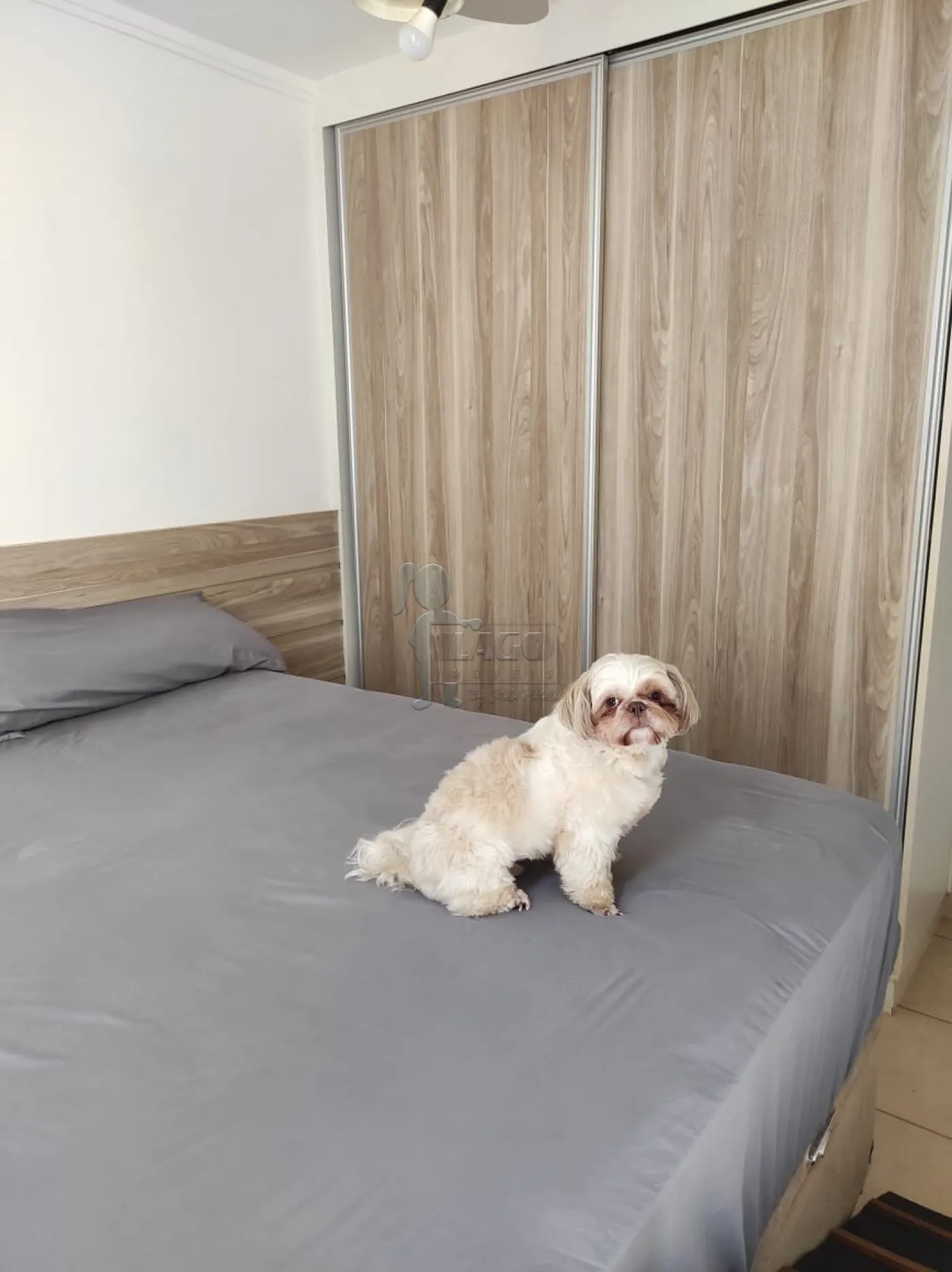 Comprar Apartamento / Padr&atilde;o em Ribeir&atilde;o Preto R$ 350.000,00 - Foto 35