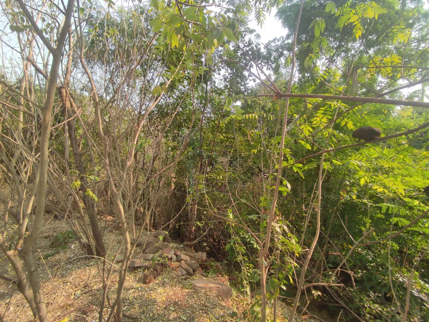 Comprar Terreno / Padr&atilde;o em Ribeir&atilde;o Preto R$ 380.000,00 - Foto 8