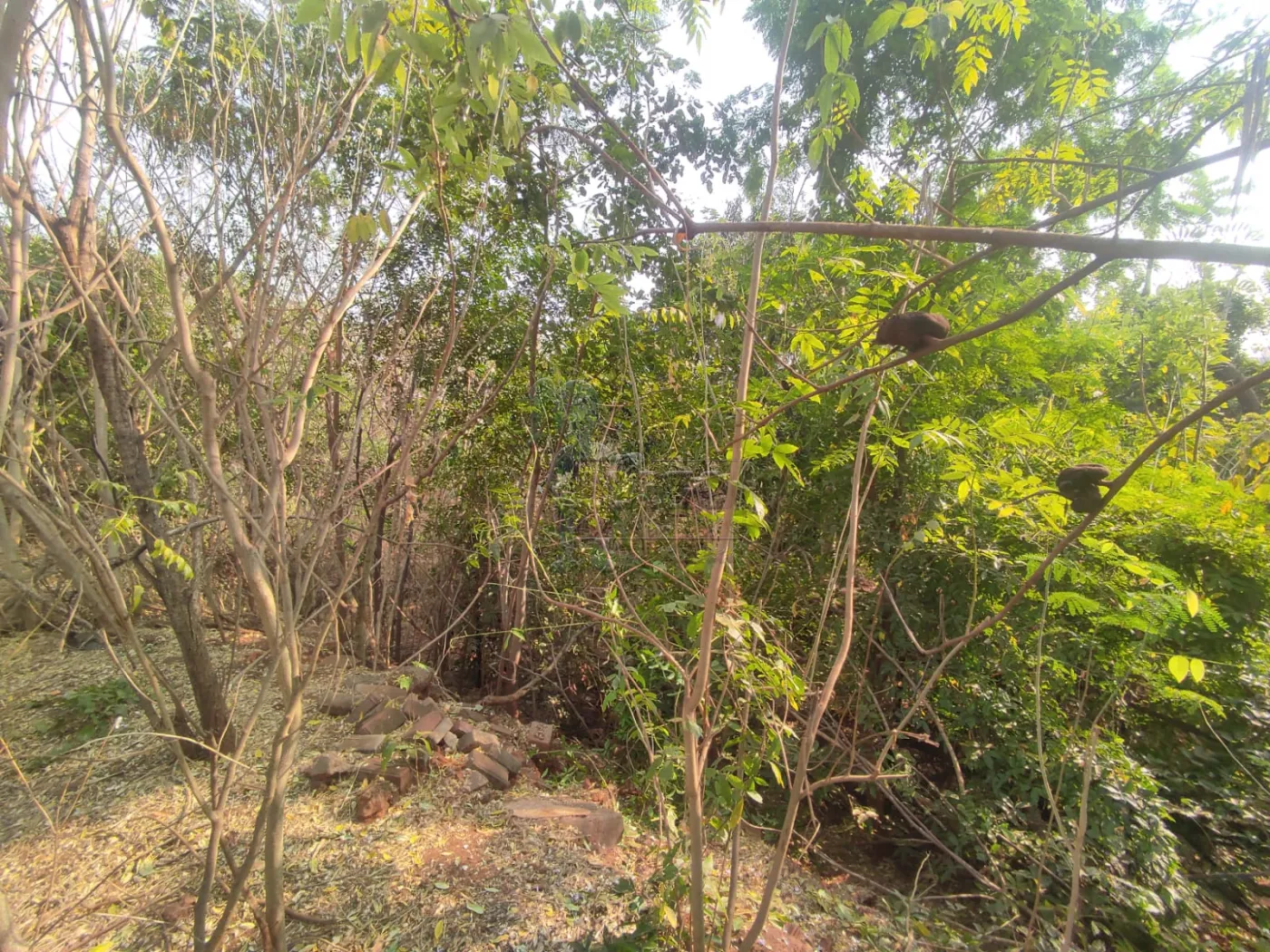 Comprar Terreno / Padr&atilde;o em Ribeir&atilde;o Preto R$ 380.000,00 - Foto 10