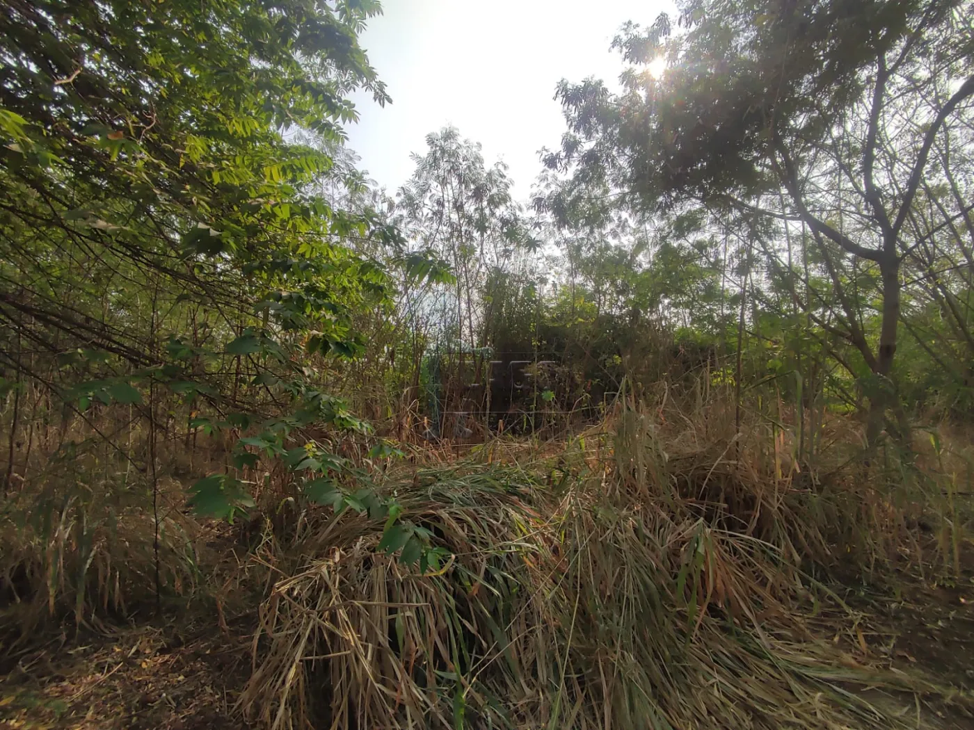 Comprar Terreno / Padr&atilde;o em Ribeir&atilde;o Preto R$ 380.000,00 - Foto 12