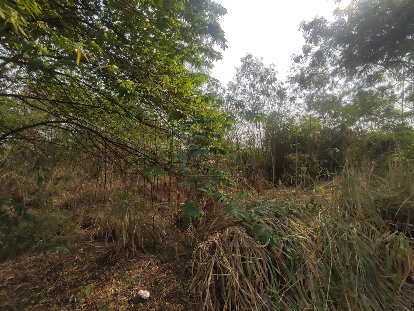 Comprar Terreno / Padr&atilde;o em Ribeir&atilde;o Preto R$ 380.000,00 - Foto 13