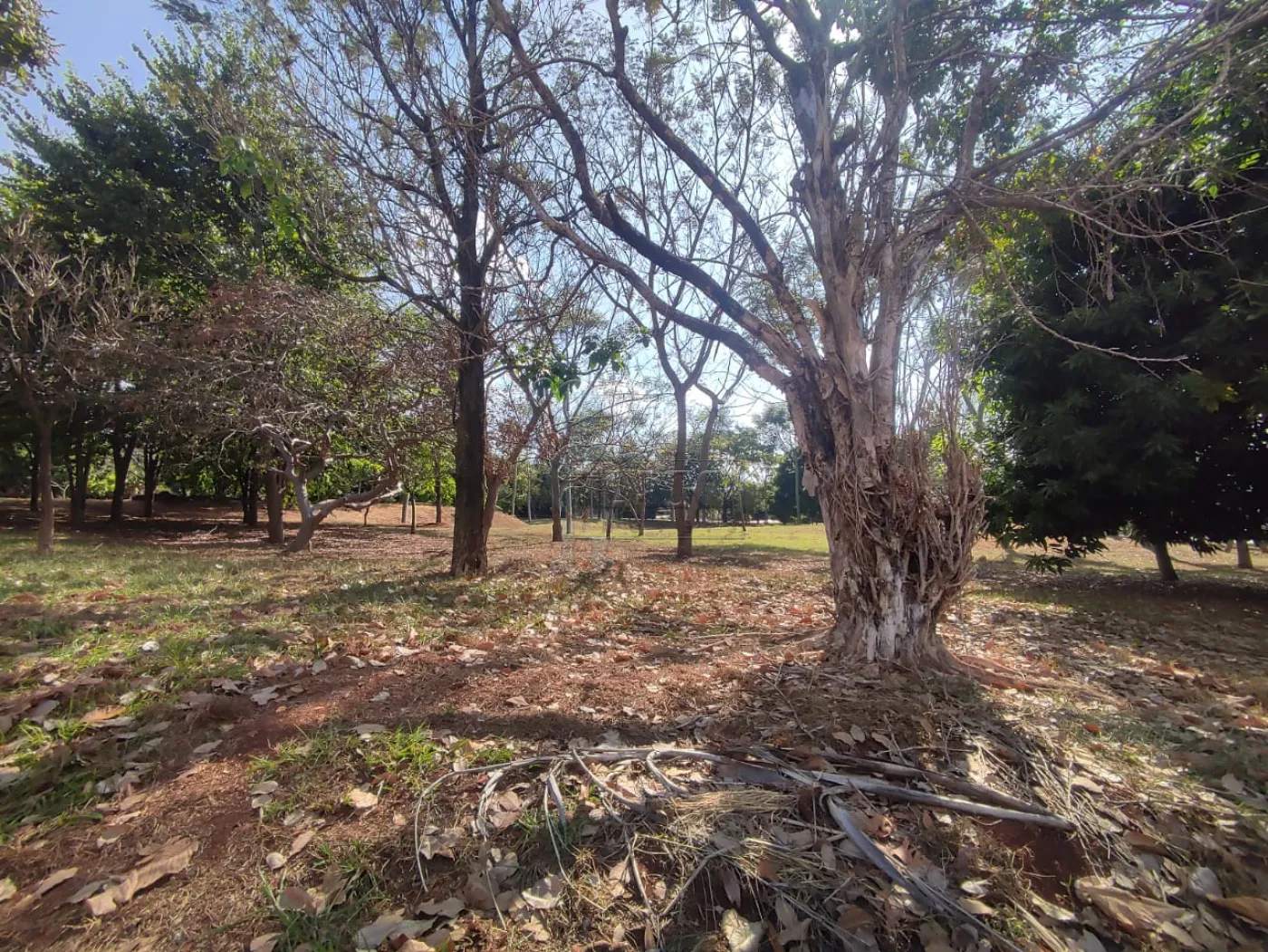Comprar Terreno / Condom&iacute;nio em Bonfim Paulista R$ 1.000.000,00 - Foto 12