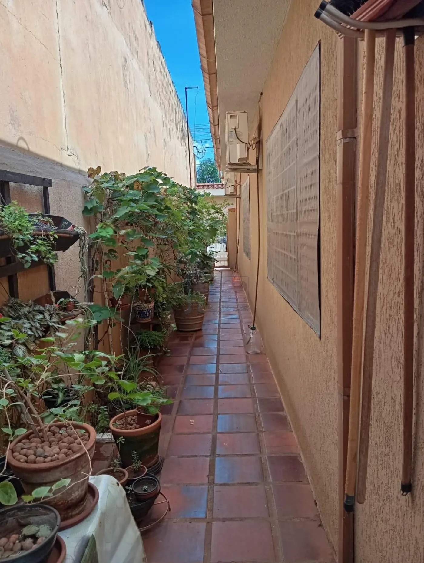 Comprar Casa / Padr&atilde;o em Ribeir&atilde;o Preto R$ 450.000,00 - Foto 2