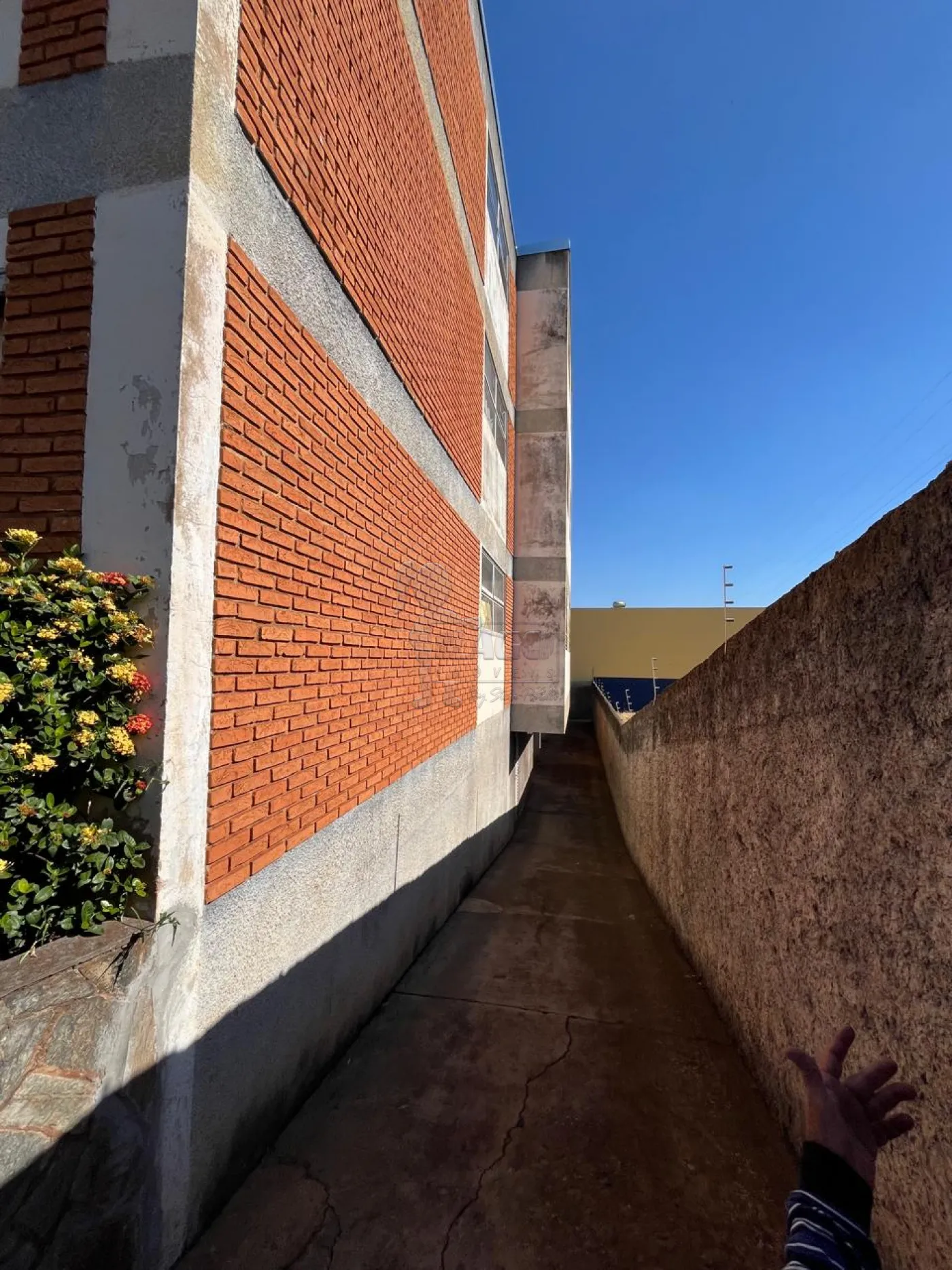 Alugar Apartamento / Padr&atilde;o em Ribeir&atilde;o Preto R$ 1.800,00 - Foto 20