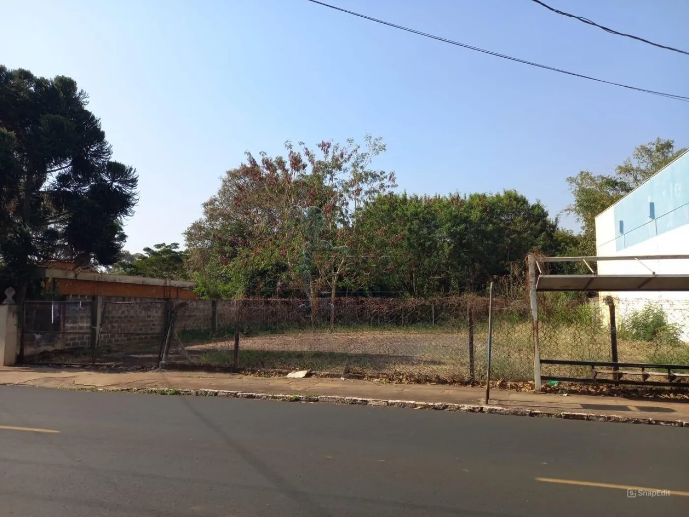 Alugar Terreno / Padr&atilde;o em Ribeir&atilde;o Preto R$ 1.900,00 - Foto 1