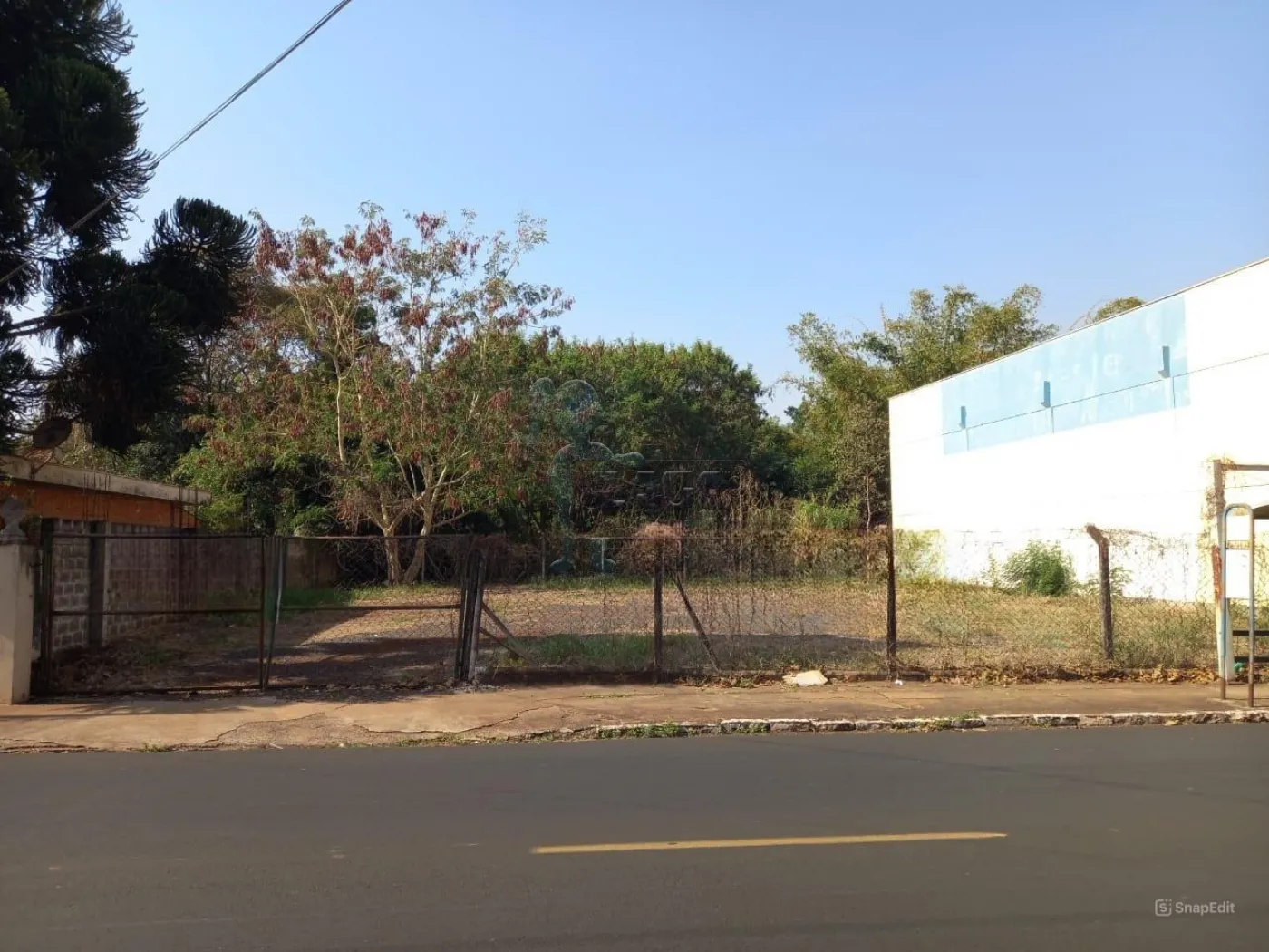 Alugar Terreno / Padr&atilde;o em Ribeir&atilde;o Preto R$ 1.900,00 - Foto 2