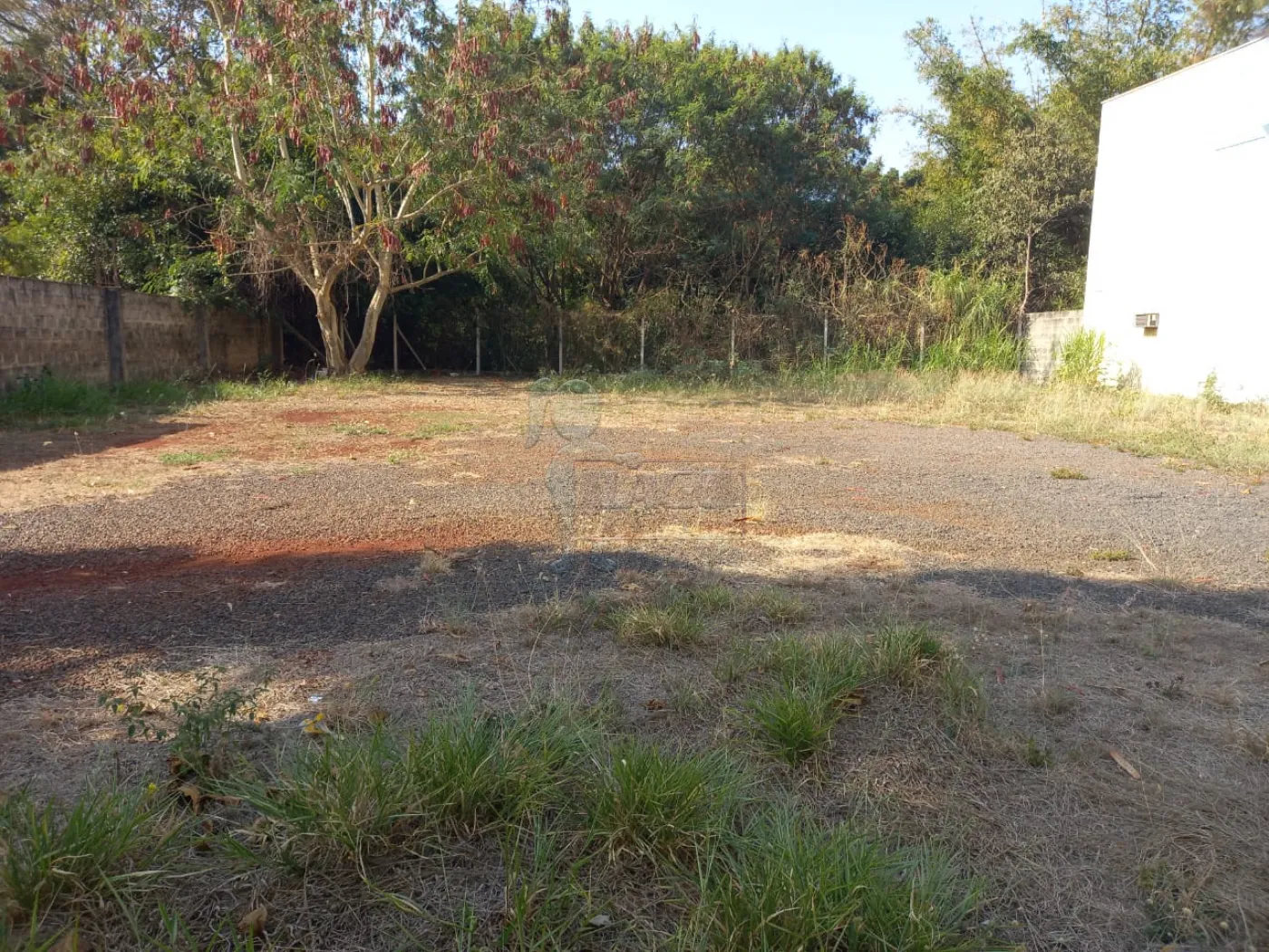 Alugar Terreno / Padr&atilde;o em Ribeir&atilde;o Preto R$ 1.900,00 - Foto 3