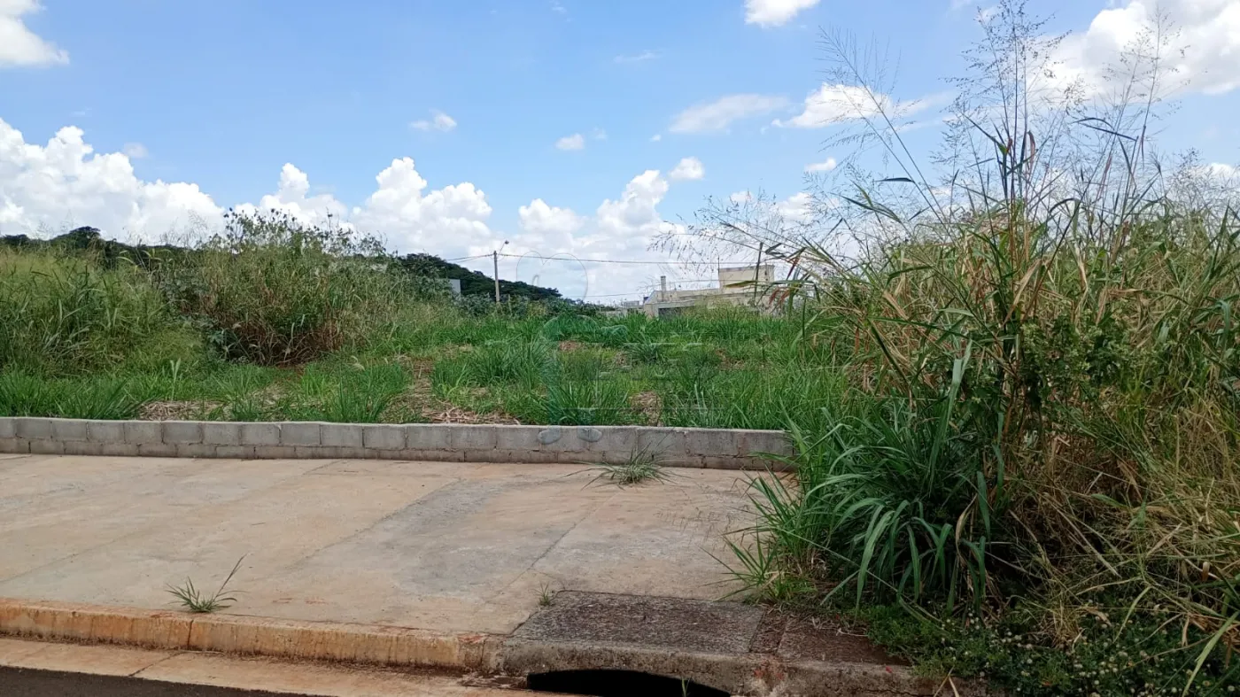 Alugar Terreno / Padr&atilde;o em Ribeir&atilde;o Preto R$ 2.000,00 - Foto 3