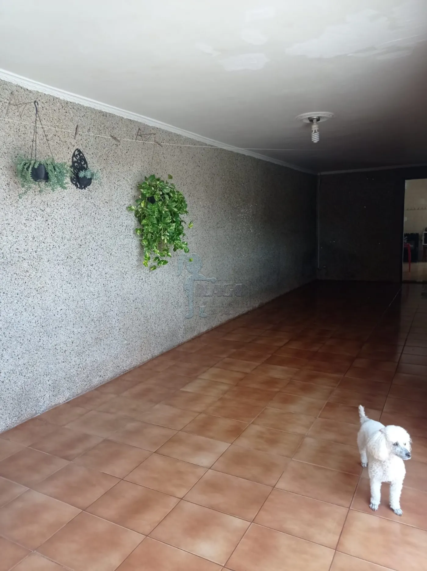 Comprar Casa / Padr&atilde;o em Ribeir&atilde;o Preto R$ 375.000,00 - Foto 7