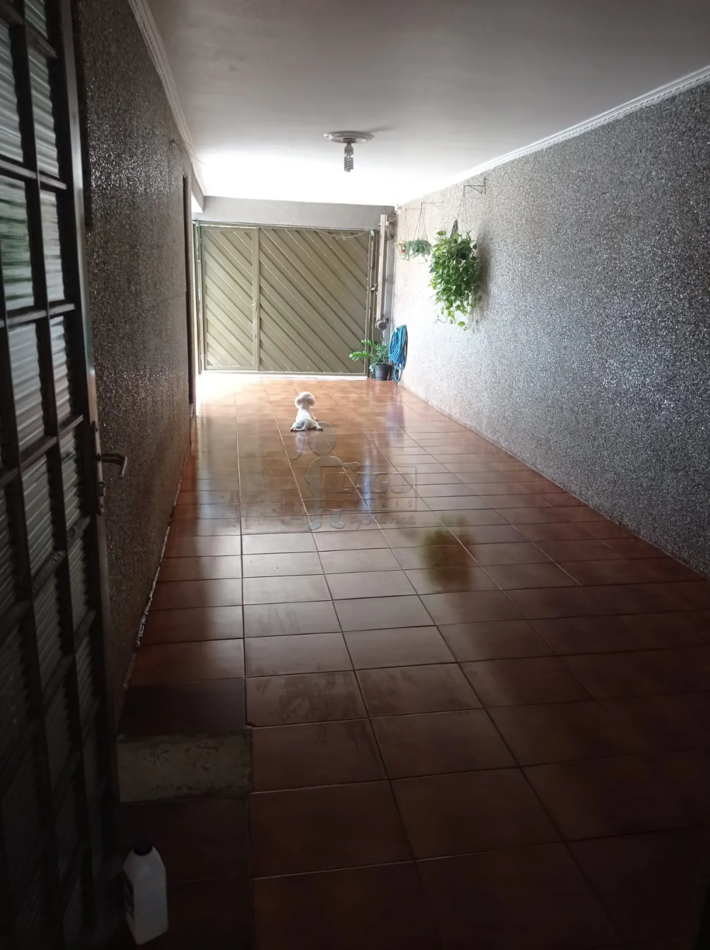 Comprar Casa / Padr&atilde;o em Ribeir&atilde;o Preto R$ 375.000,00 - Foto 11