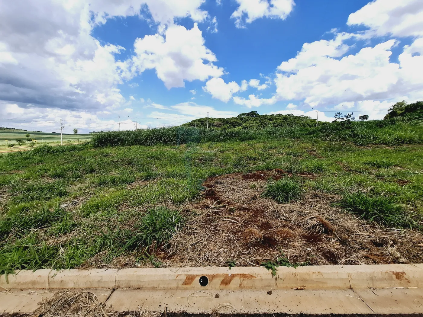 Comprar Terreno / Padr&atilde;o em Ribeir&atilde;o Preto R$ 170.000,00 - Foto 4