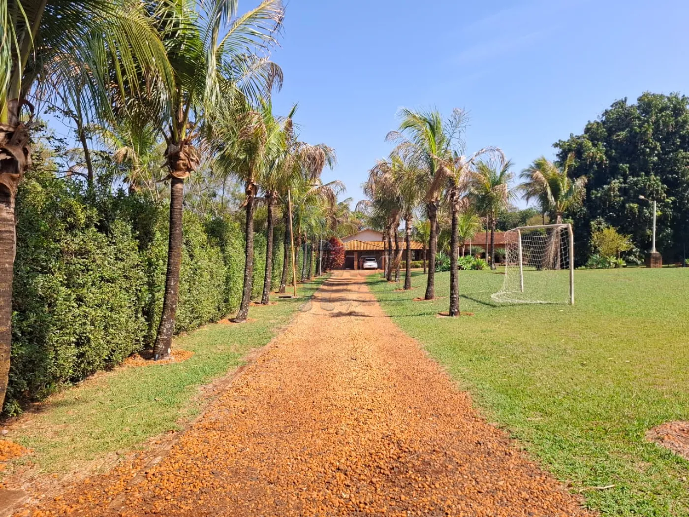 Alugar Casa / Ch&aacute;cara - Rancho em Ribeir&atilde;o Preto R$ 6.000,00 - Foto 6