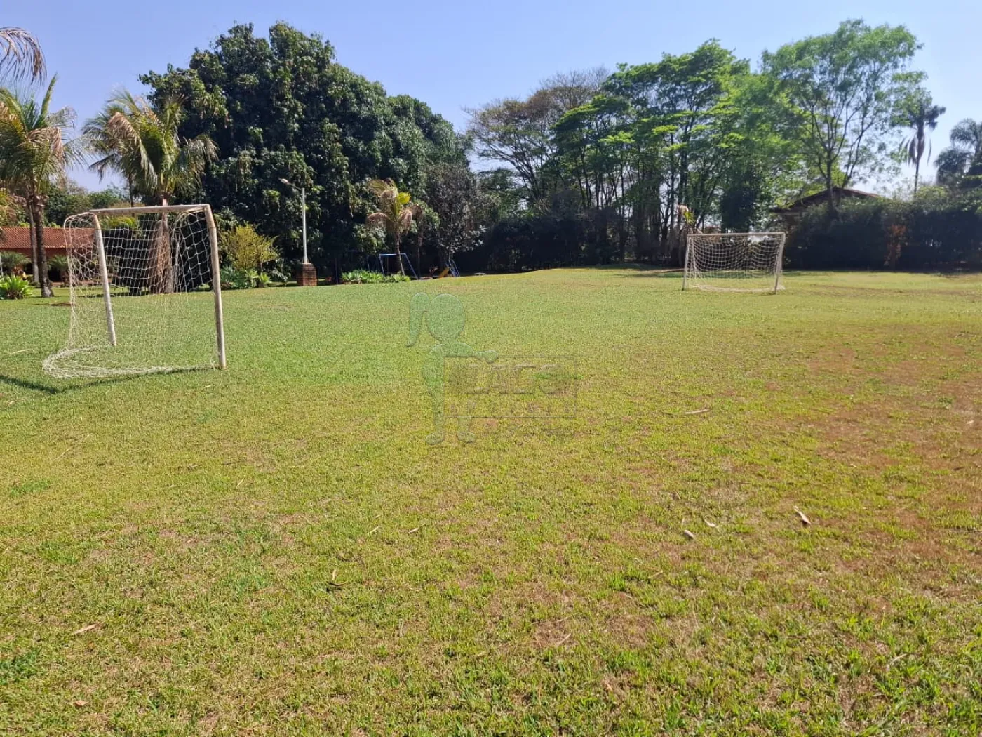 Alugar Casa / Ch&aacute;cara - Rancho em Ribeir&atilde;o Preto R$ 6.000,00 - Foto 3
