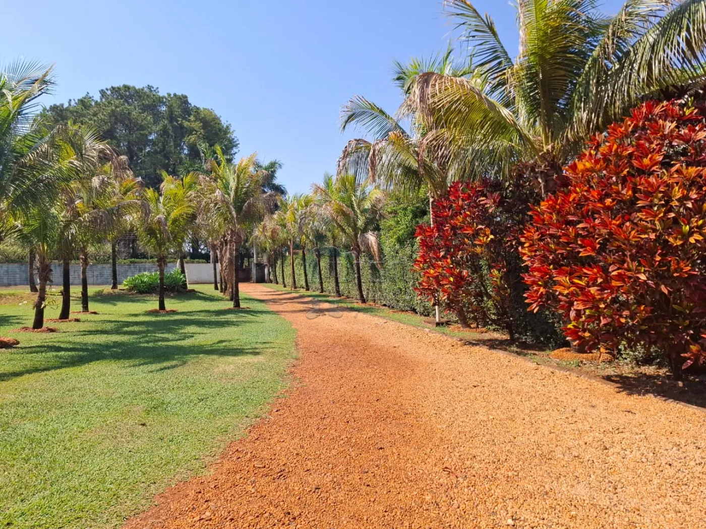 Alugar Casa / Ch&aacute;cara - Rancho em Ribeir&atilde;o Preto R$ 6.000,00 - Foto 7