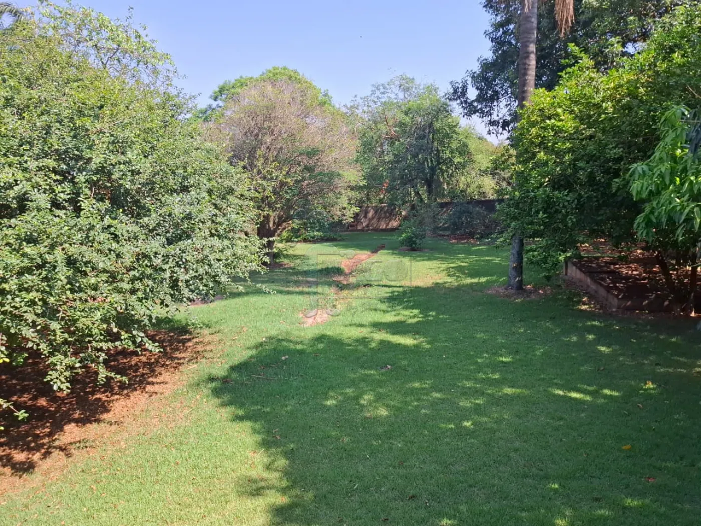 Alugar Casa / Ch&aacute;cara - Rancho em Ribeir&atilde;o Preto R$ 6.000,00 - Foto 34