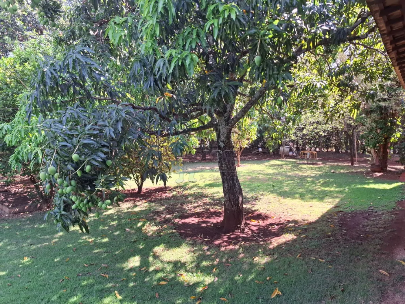 Alugar Casa / Ch&aacute;cara - Rancho em Ribeir&atilde;o Preto R$ 6.000,00 - Foto 36