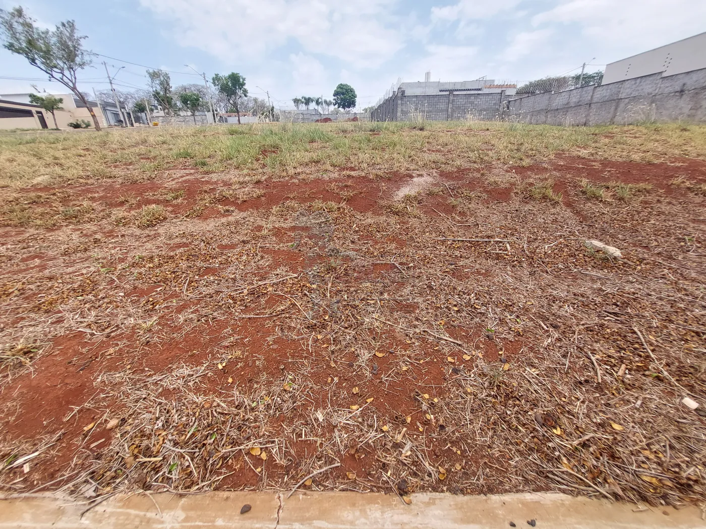 Comprar Terreno / Padr&atilde;o em Bonfim Paulista R$ 190.000,00 - Foto 1