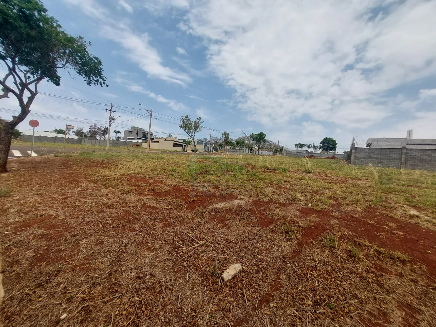 Comprar Terreno / Padr&atilde;o em Bonfim Paulista R$ 190.000,00 - Foto 2