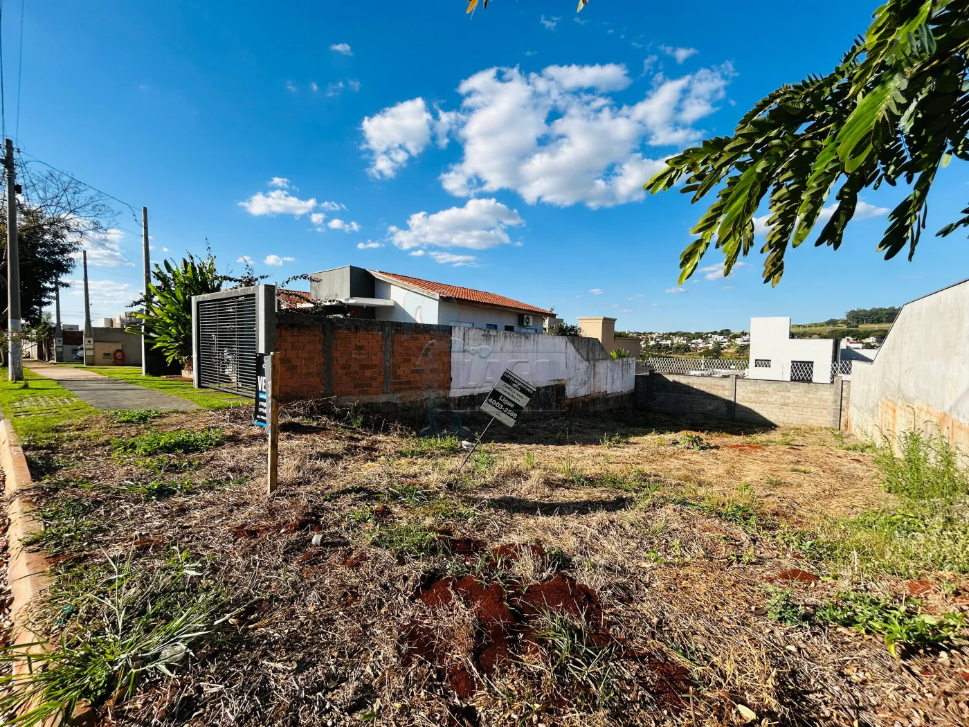 Comprar Terreno / Padr&atilde;o em Bonfim Paulista R$ 220.000,00 - Foto 2