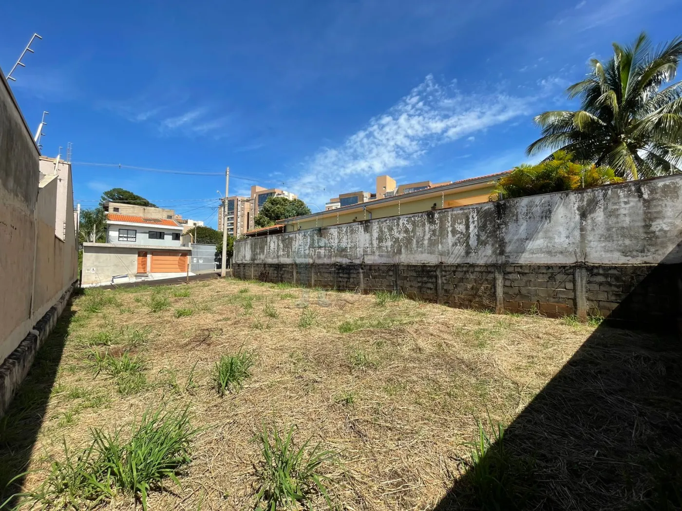 Alugar Terreno / Padr&atilde;o em Ribeir&atilde;o Preto R$ 1.000,00 - Foto 3