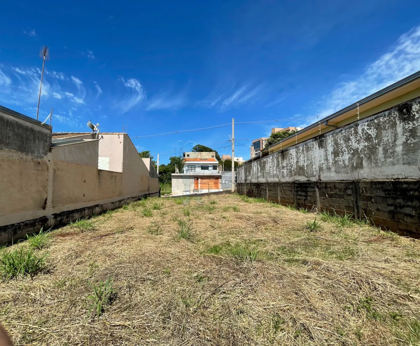 Alugar Terreno / Padr&atilde;o em Ribeir&atilde;o Preto R$ 1.000,00 - Foto 4