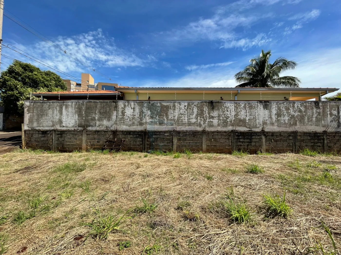 Alugar Terreno / Padr&atilde;o em Ribeir&atilde;o Preto R$ 1.000,00 - Foto 5