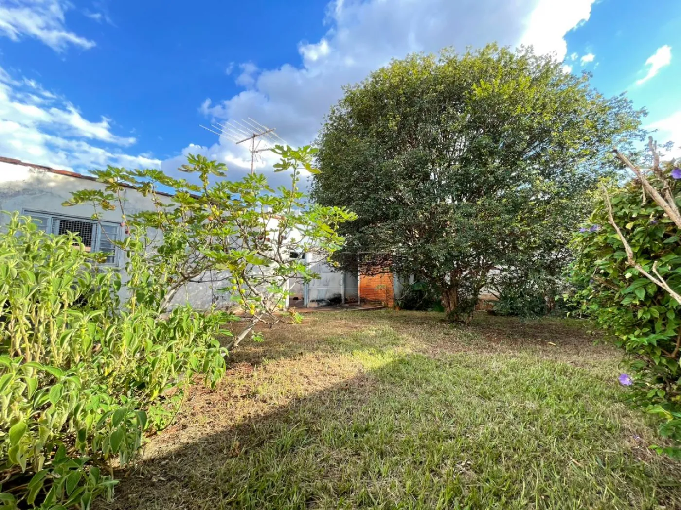 Comprar Casa / Padr&atilde;o em Ribeir&atilde;o Preto R$ 500.000,00 - Foto 2