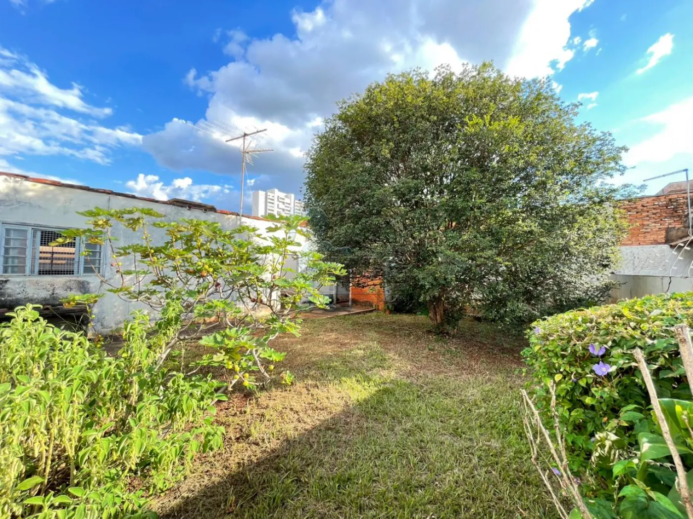 Comprar Casa / Padr&atilde;o em Ribeir&atilde;o Preto R$ 500.000,00 - Foto 3