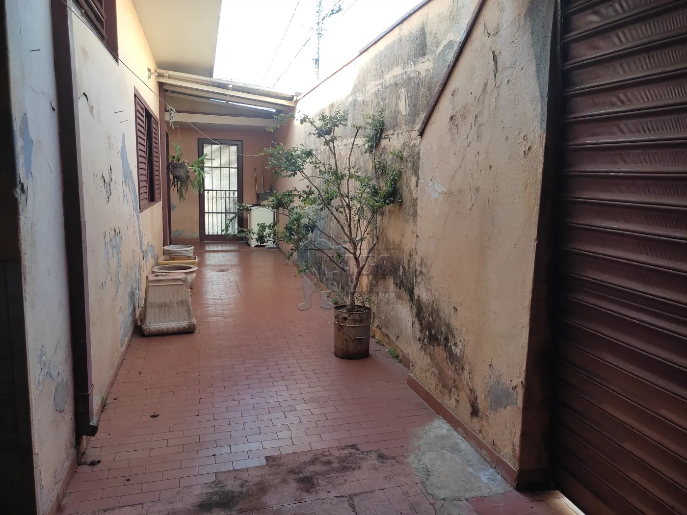 Comprar Casa / Padr&atilde;o em Ribeir&atilde;o Preto R$ 535.000,00 - Foto 32