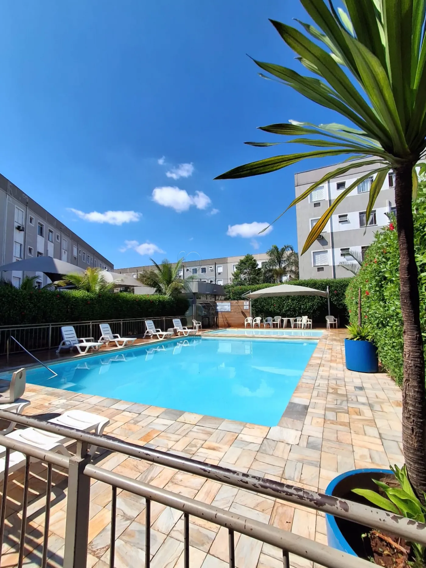 Comprar Apartamento / Padr&atilde;o em Ribeir&atilde;o Preto R$ 150.000,00 - Foto 12