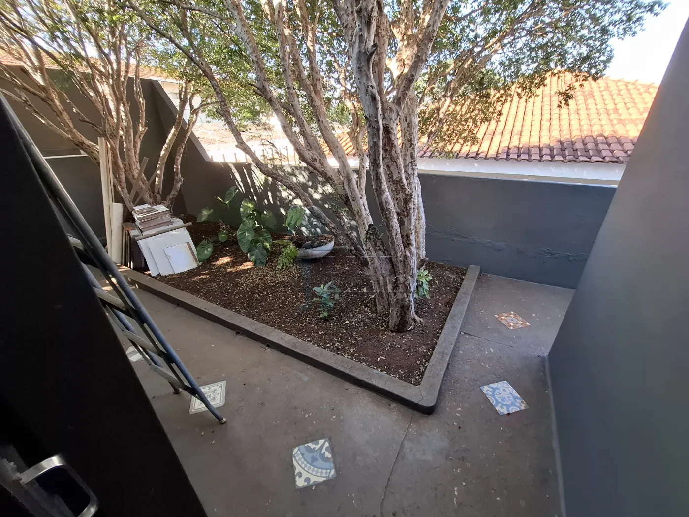 Alugar Comercial padr&atilde;o / Loja em Ribeir&atilde;o Preto R$ 8.000,00 - Foto 12