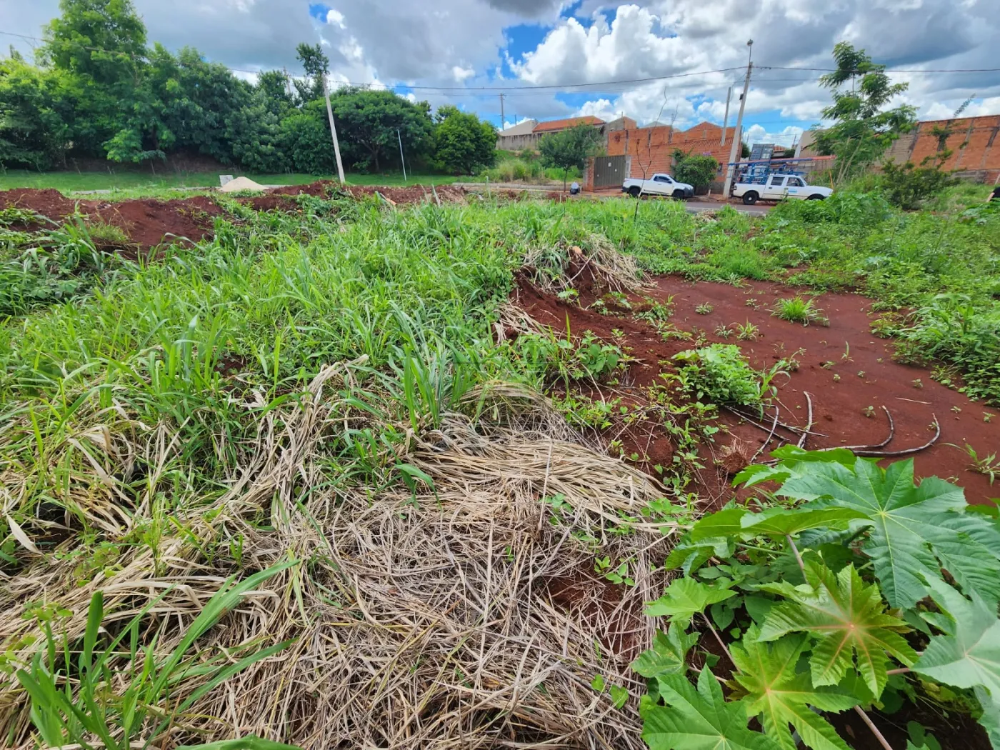 Comprar Terreno / Padr&atilde;o em Bonfim Paulista R$ 145.000,00 - Foto 4