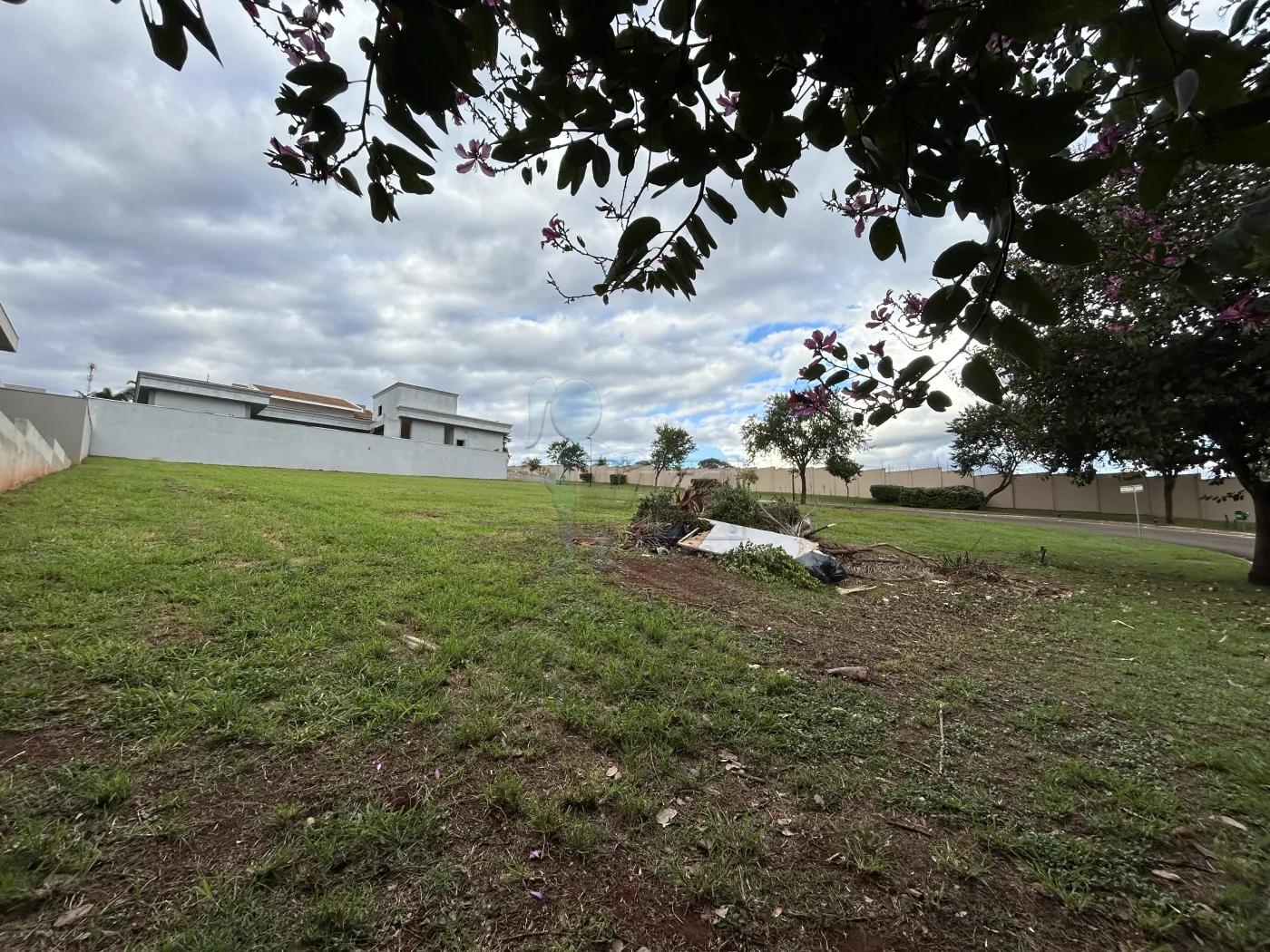 Comprar Terreno / Condom&iacute;nio em Bonfim Paulista R$ 1.540.000,00 - Foto 2