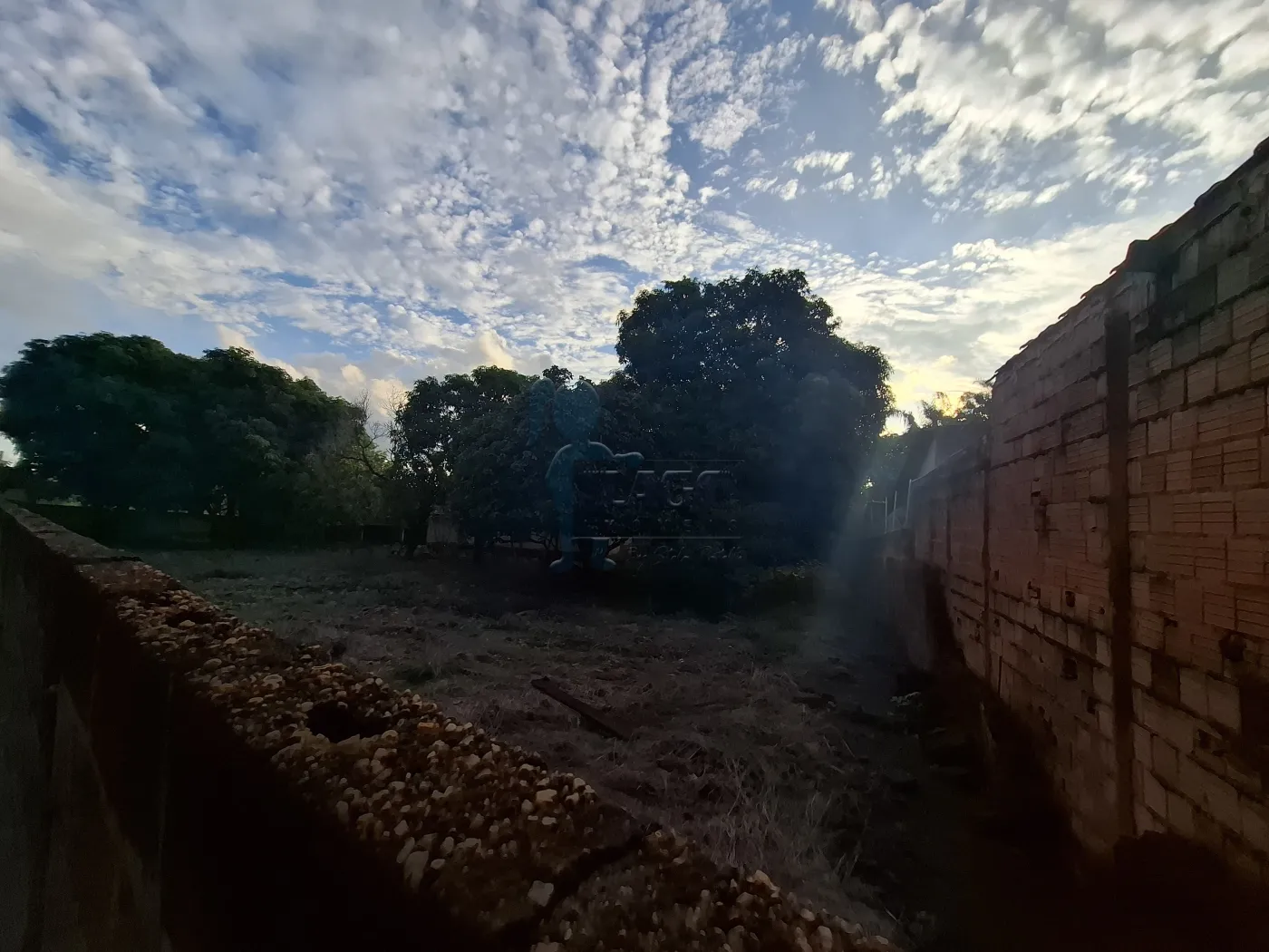 Comprar Rural / S&iacute;tio em Ribeir&atilde;o Preto R$ 2.700.000,00 - Foto 4