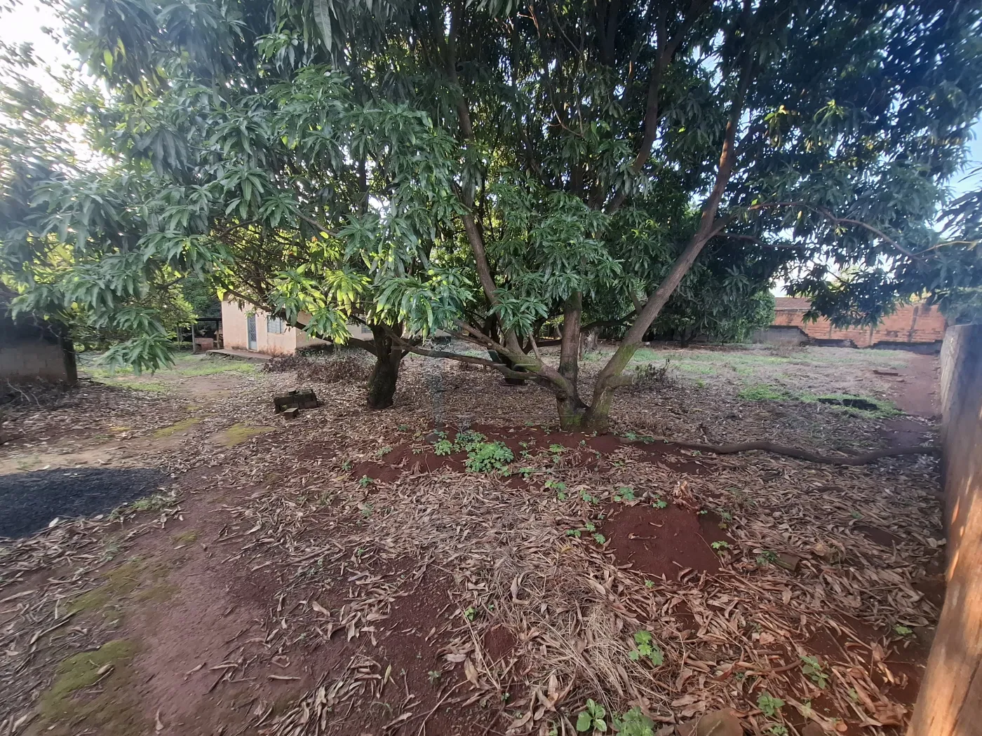 Comprar Rural / S&iacute;tio em Ribeir&atilde;o Preto R$ 2.700.000,00 - Foto 3